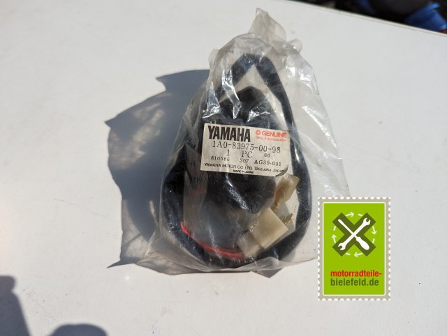 PXL_20240523_151251220